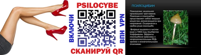 Купить закладки Тырныауз Псилоцибиновые грибы мицелий